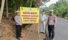 berita-pilihan-foto